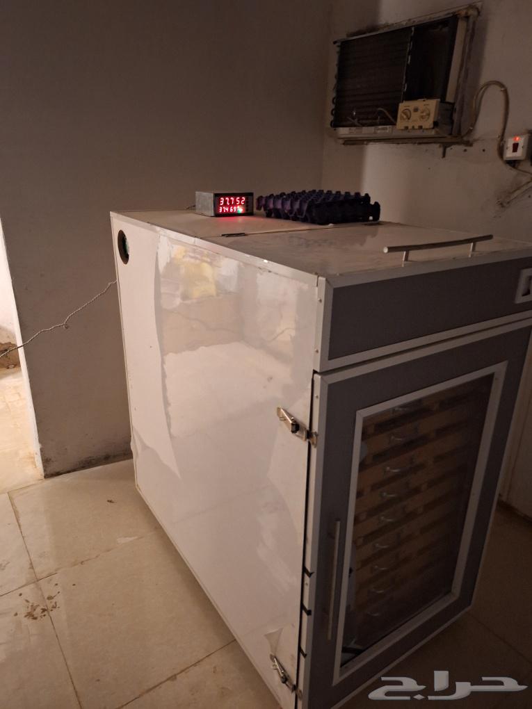 فقاسة بيض للبيع64442789229697111