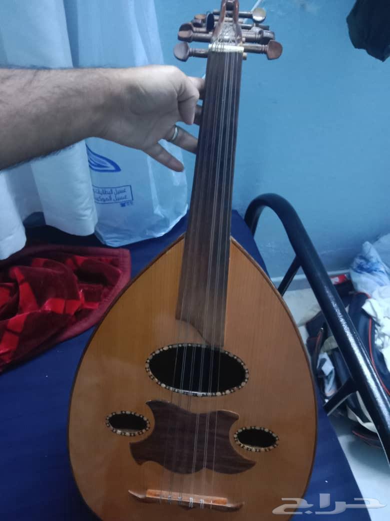 عود للبيع64445567297282112