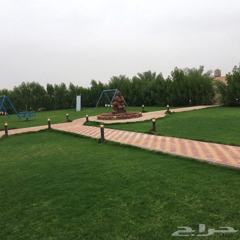 ثيل طبيعي C200064448434313474113