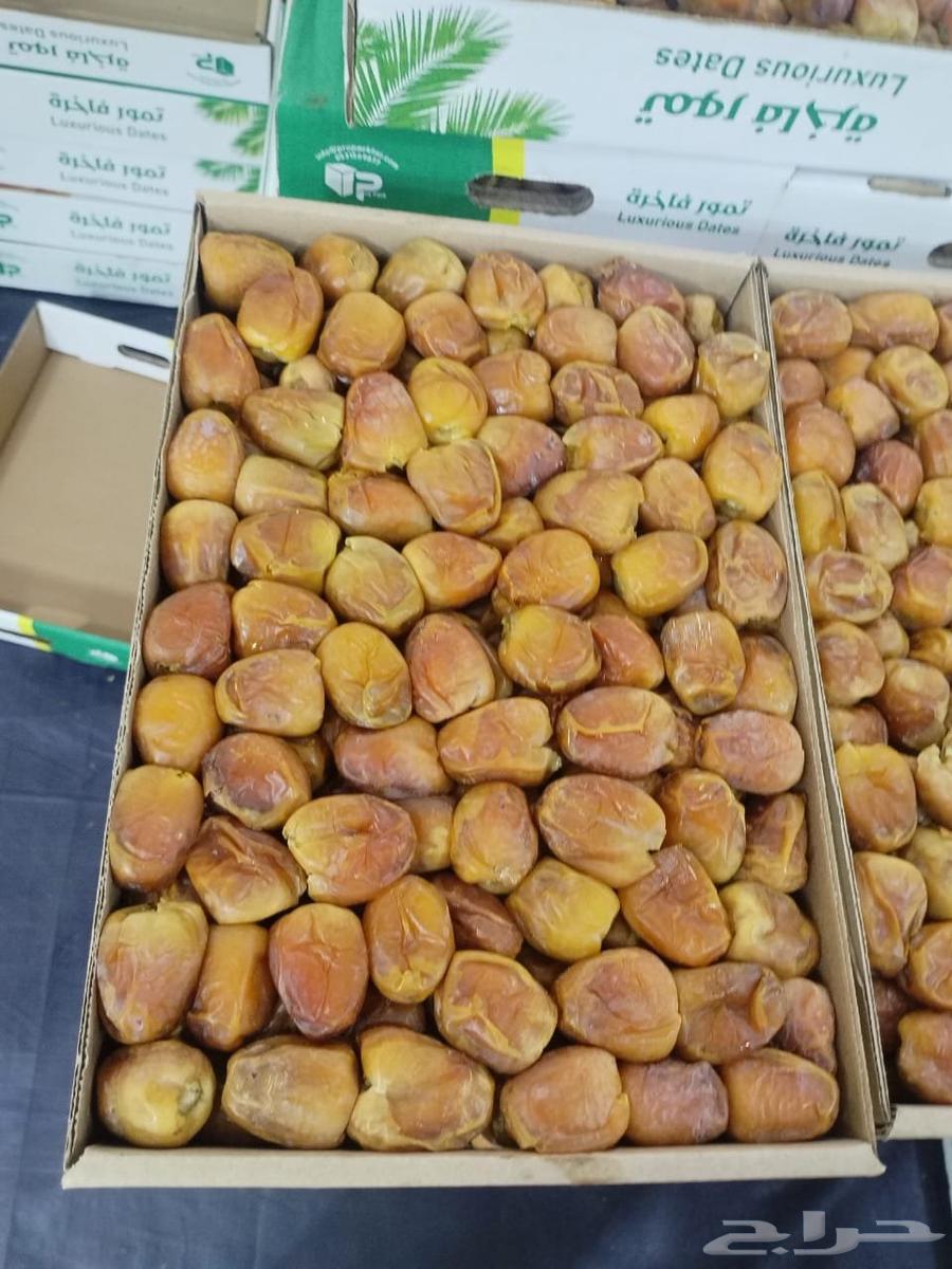 Al-Majed Dates Sugar Dates Only Quantities64444043574402110