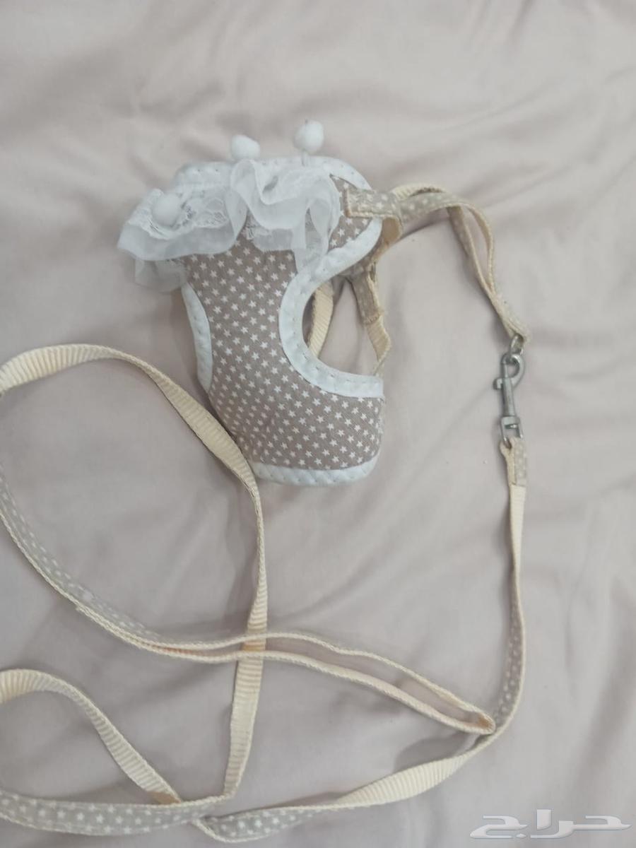 لتر بوكس كهربائي ومستلزمات قطة جديدة64449584380547114