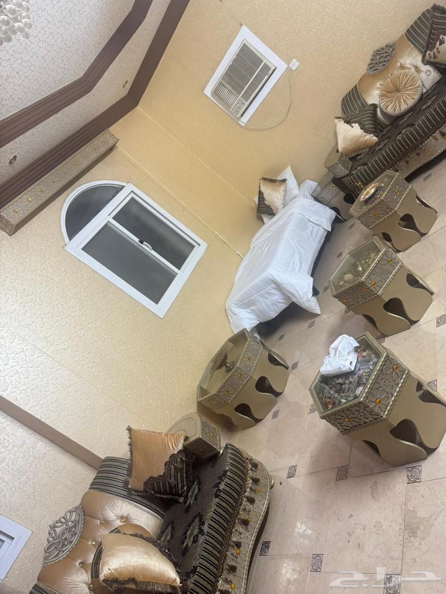 سراير تقريبا عشرين حبه للبيع64445228546178110