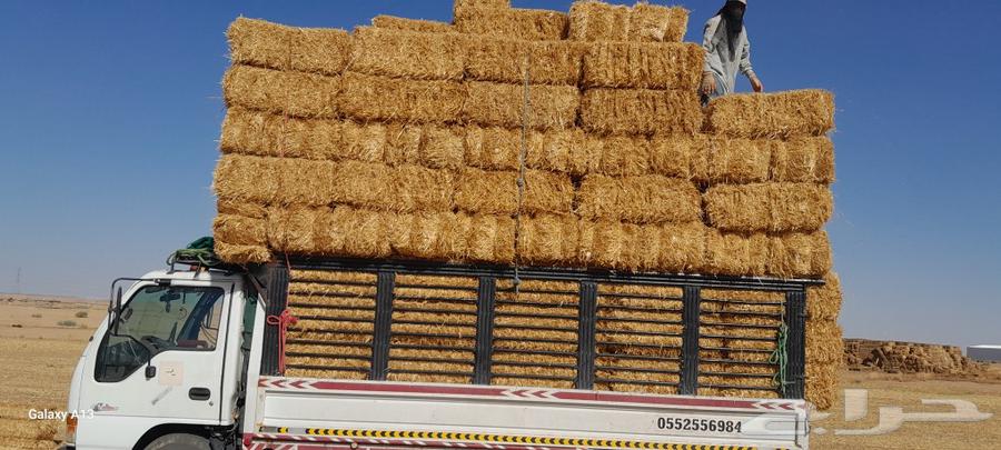 موجود تيبن عبور لبن جندير شدممتاز 90 وازن موجود سعر15ريال من64451149889155111