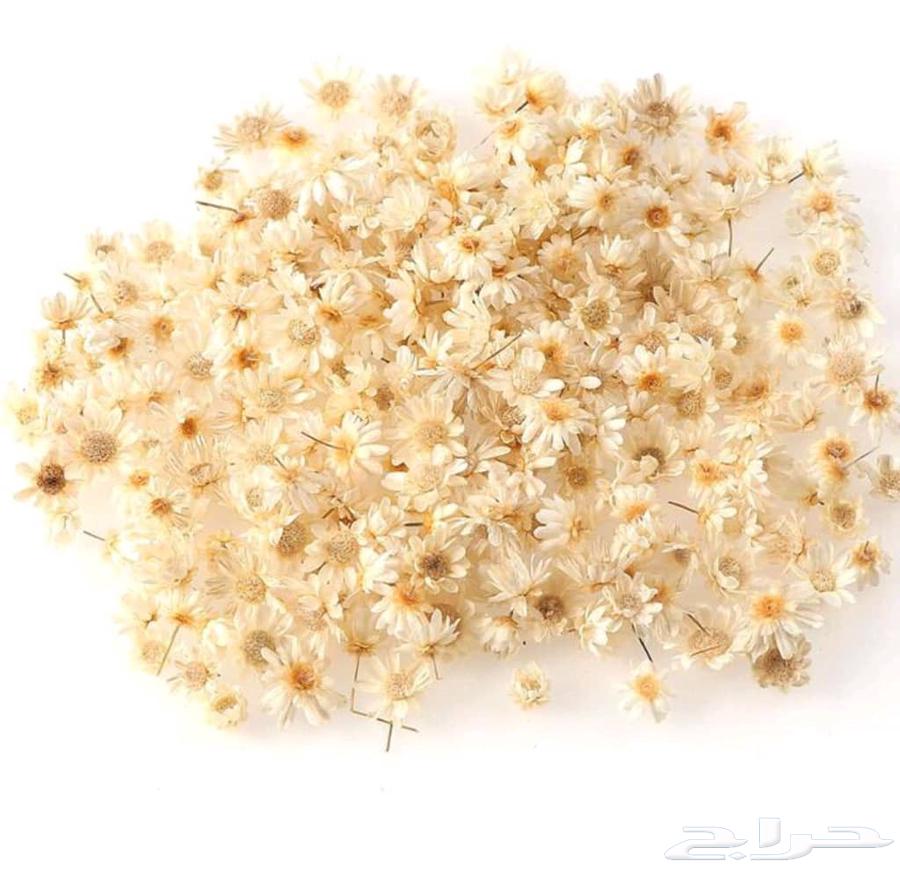 Resin tools available64455796626049113