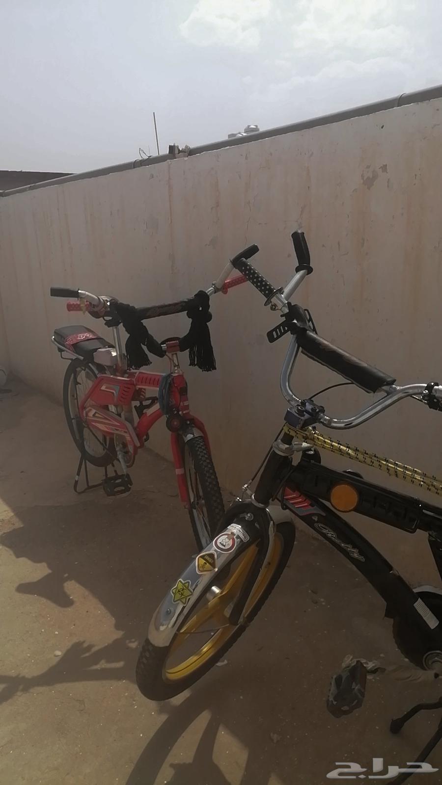 رامبو مقاس 20 اسود مع جنوطه رامبو مقاس 20 احمر مع البوري64454646658563110