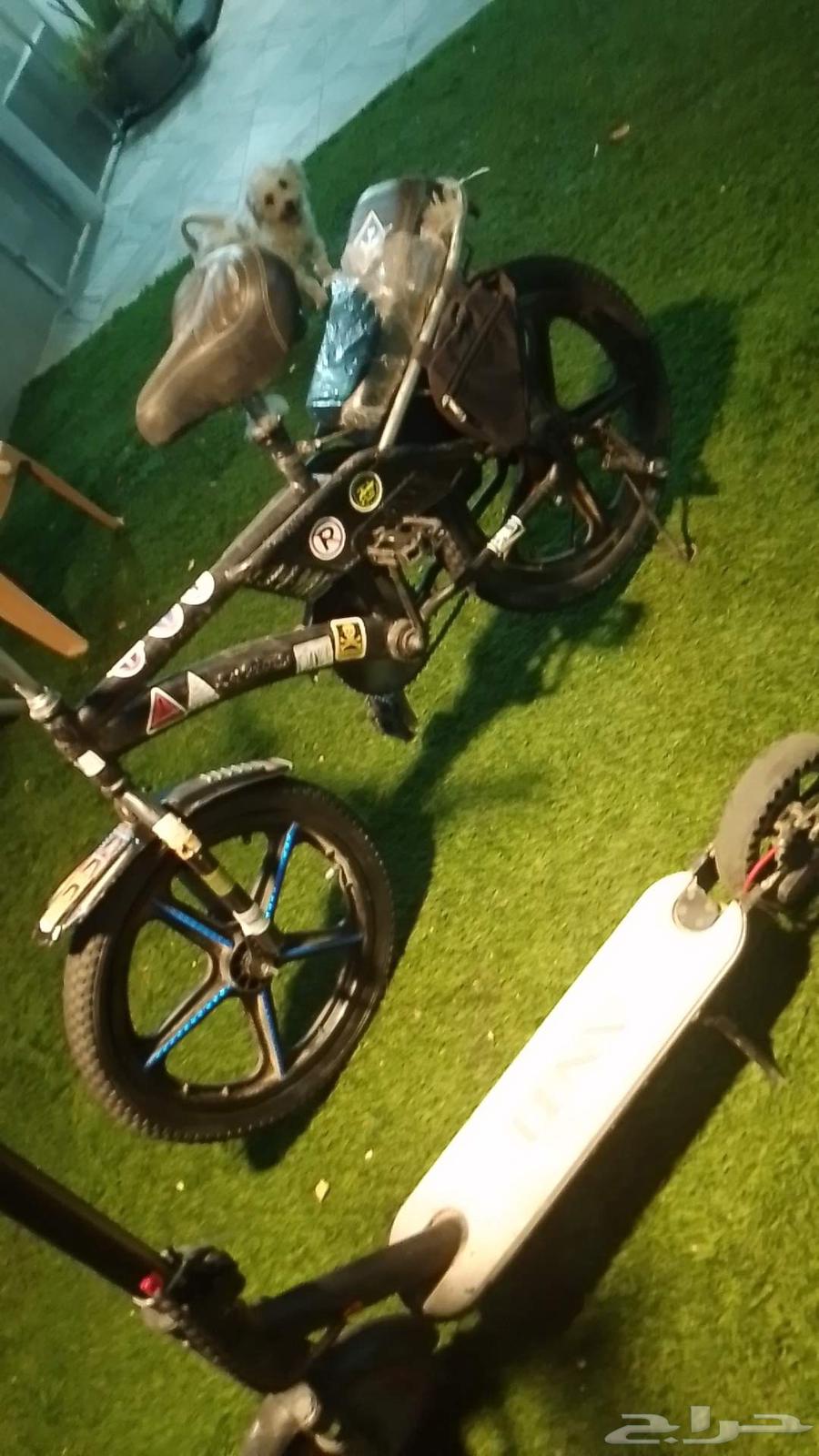 Hello, I'm offering you an Endunosi Rambo bicycle and a Xiaomi scooter64455072770946112