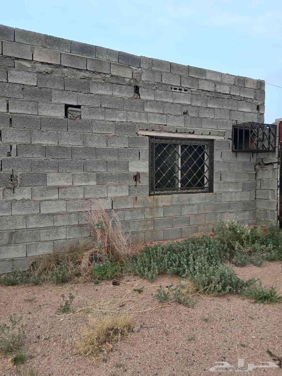 بيبان وشبك طيق وشبك مكيف للبيع64455386704514112