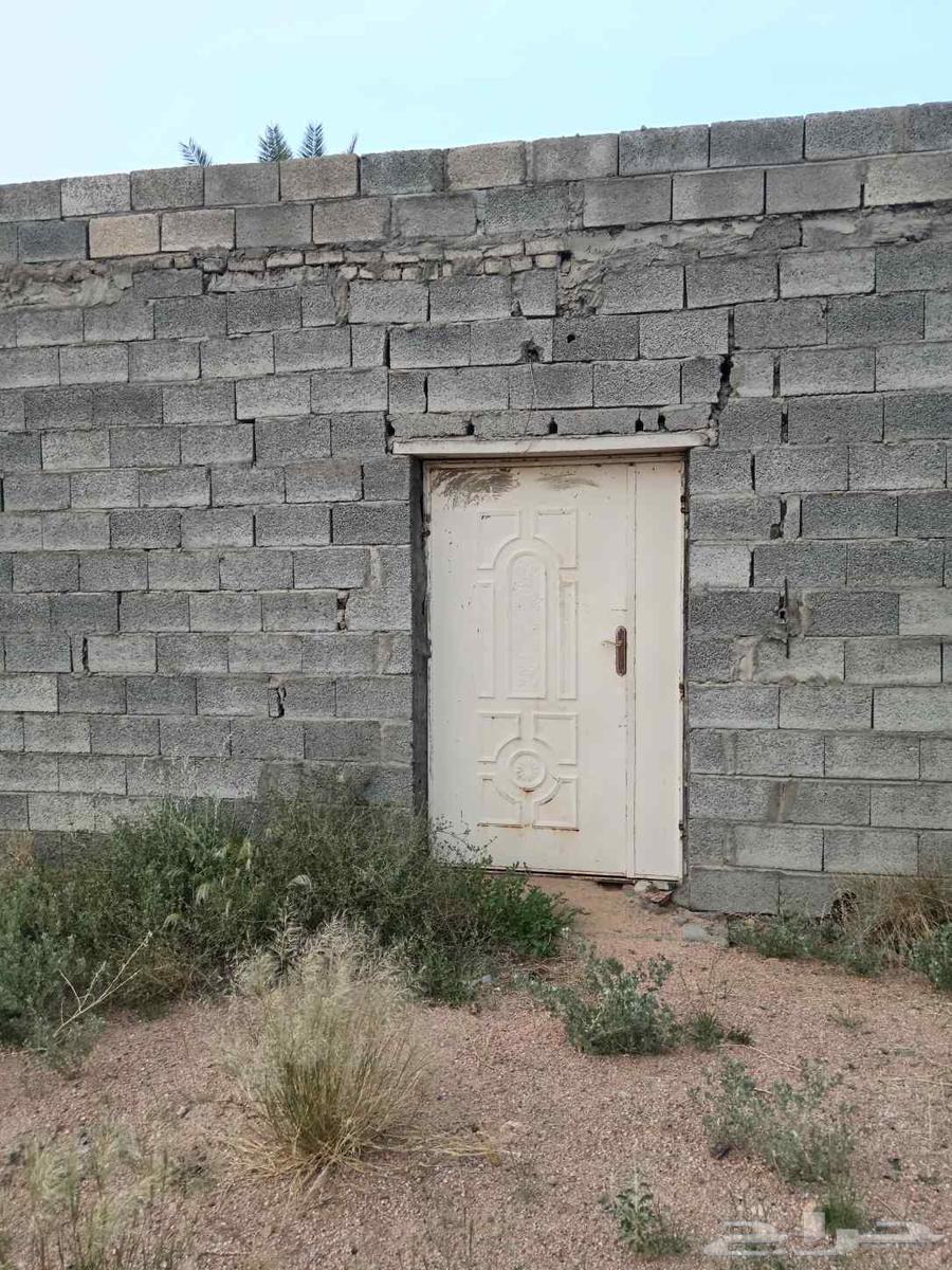 بيبان وشبك طيق وشبك مكيف للبيع64455386704514111