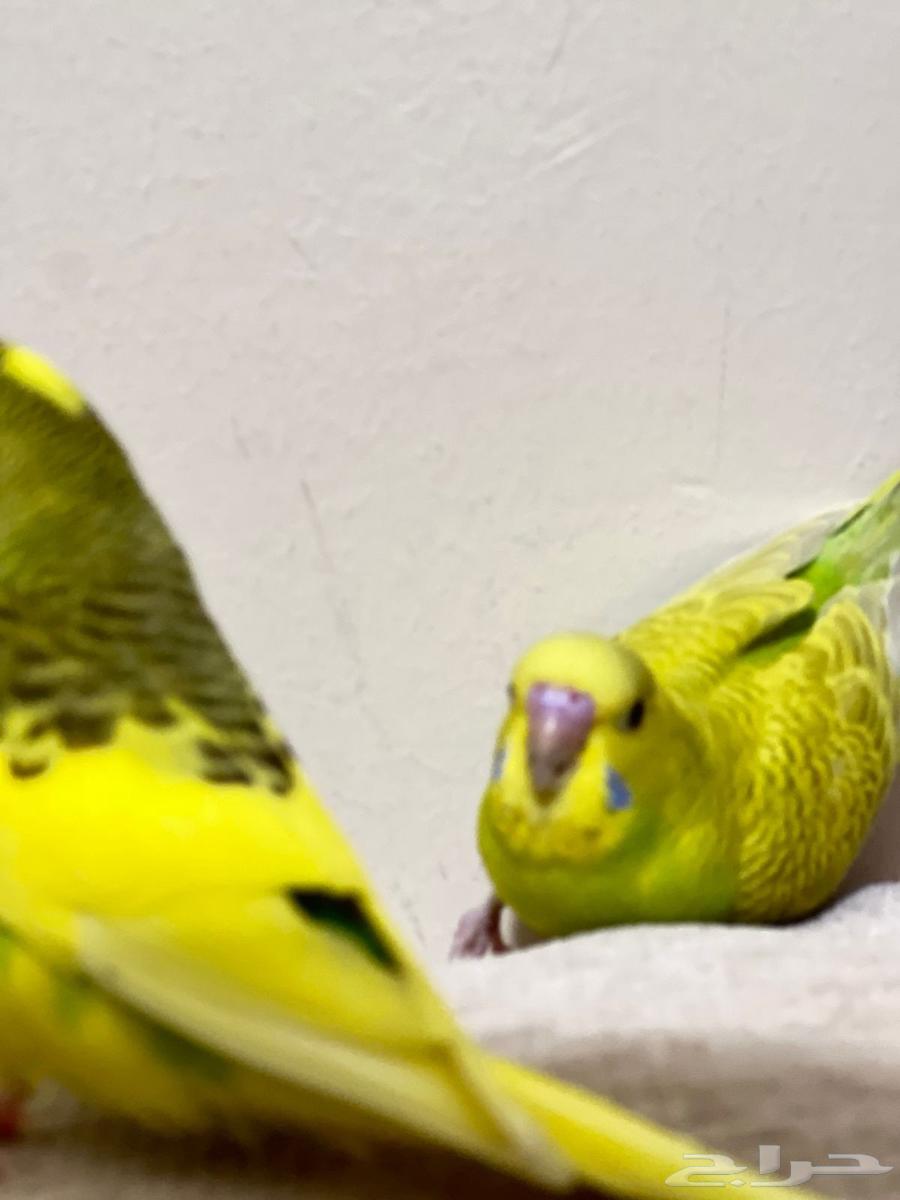 Exchange64451432426370112