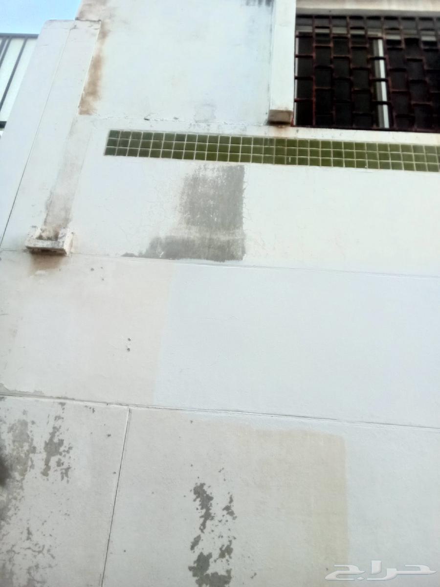 معلم دهانات ينبع البحر والهيئة الملكية64214575215874112