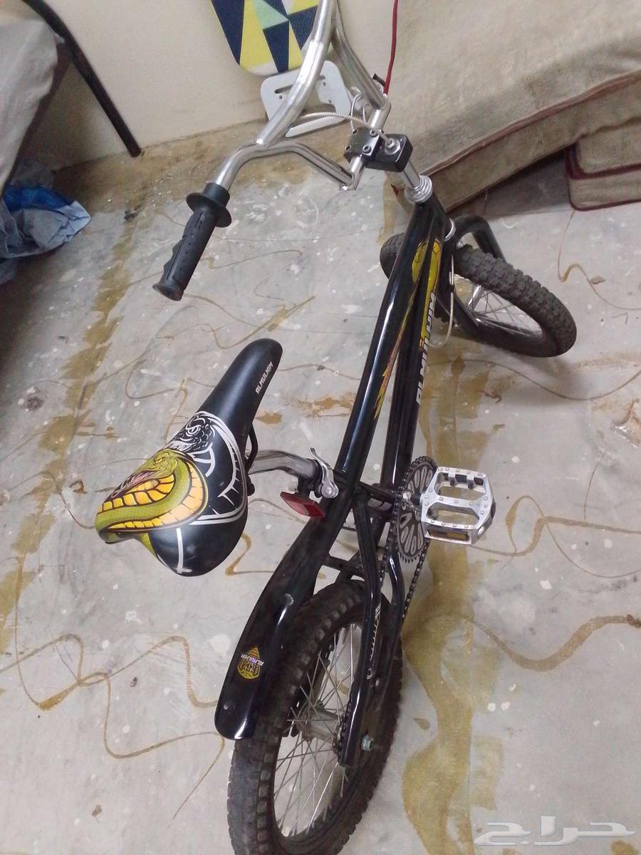 سيكل كوبره مقاس 2064456831486978111