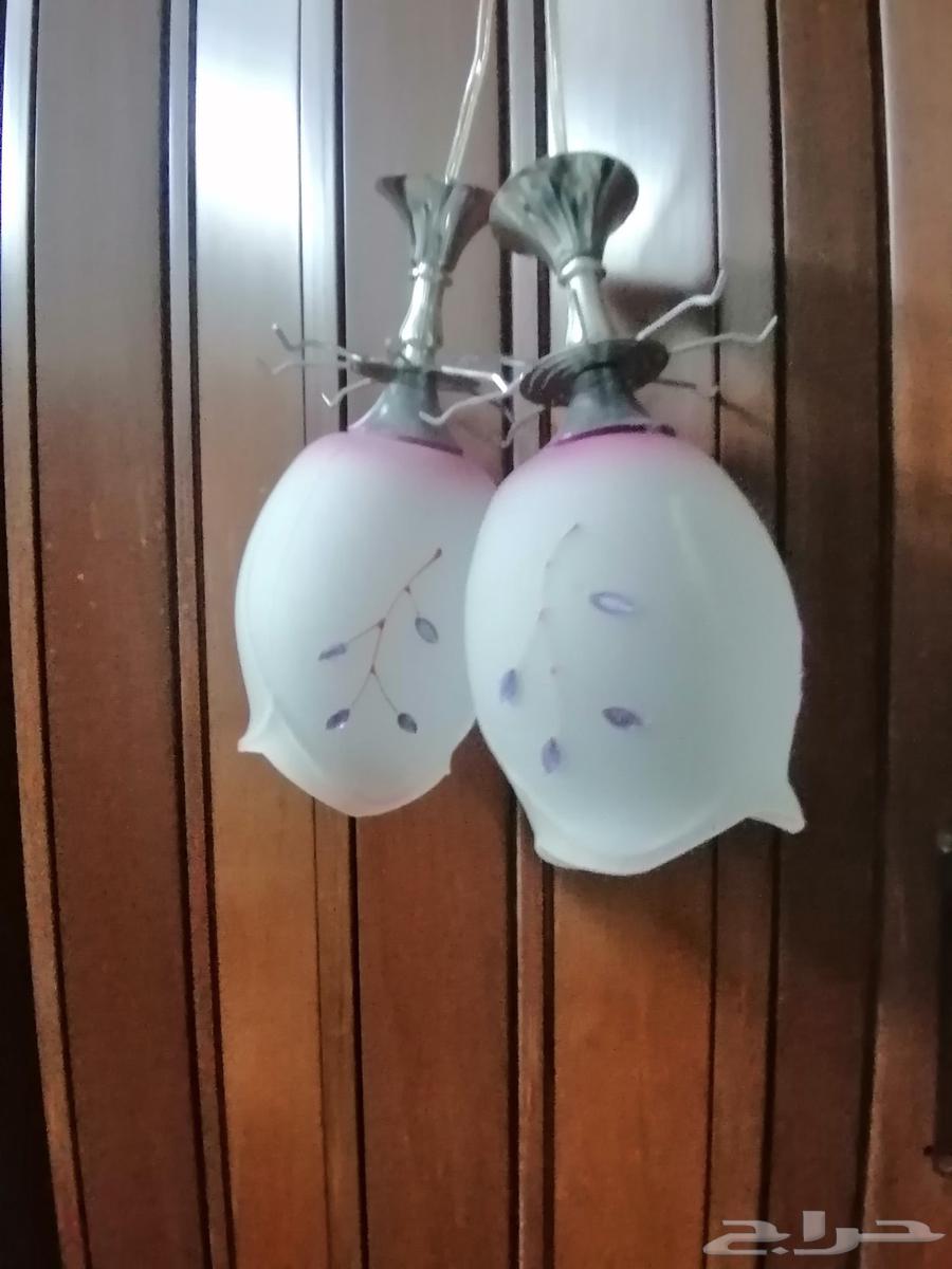 Abu Maher, contact privately only for serious and committed individuals64452238840195113