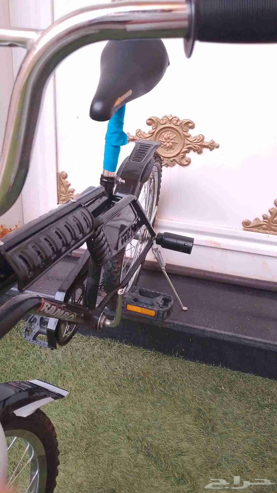 رامبو اسود للبيع64454536691074112