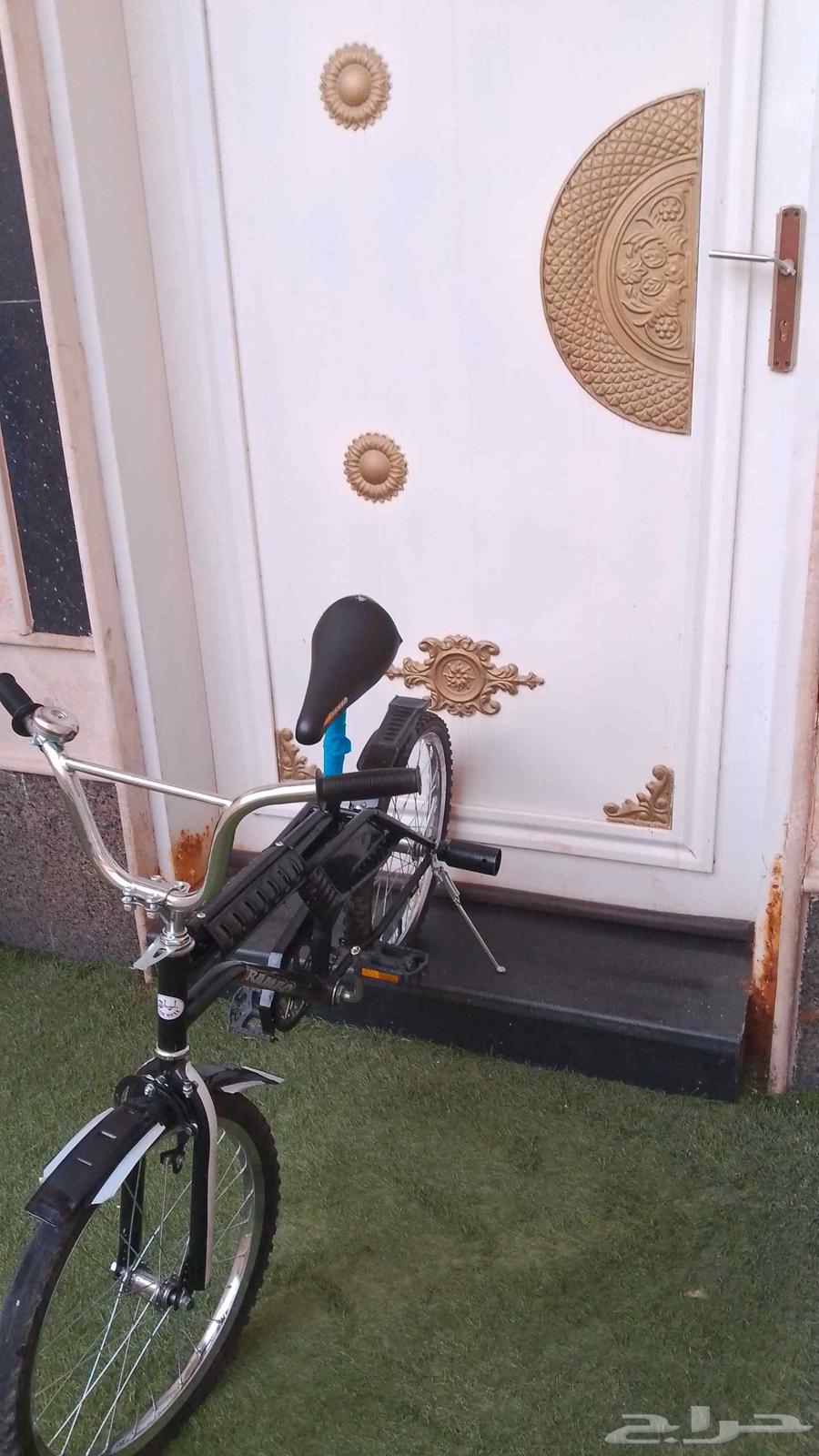 رامبو اسود للبيع64454536691074111