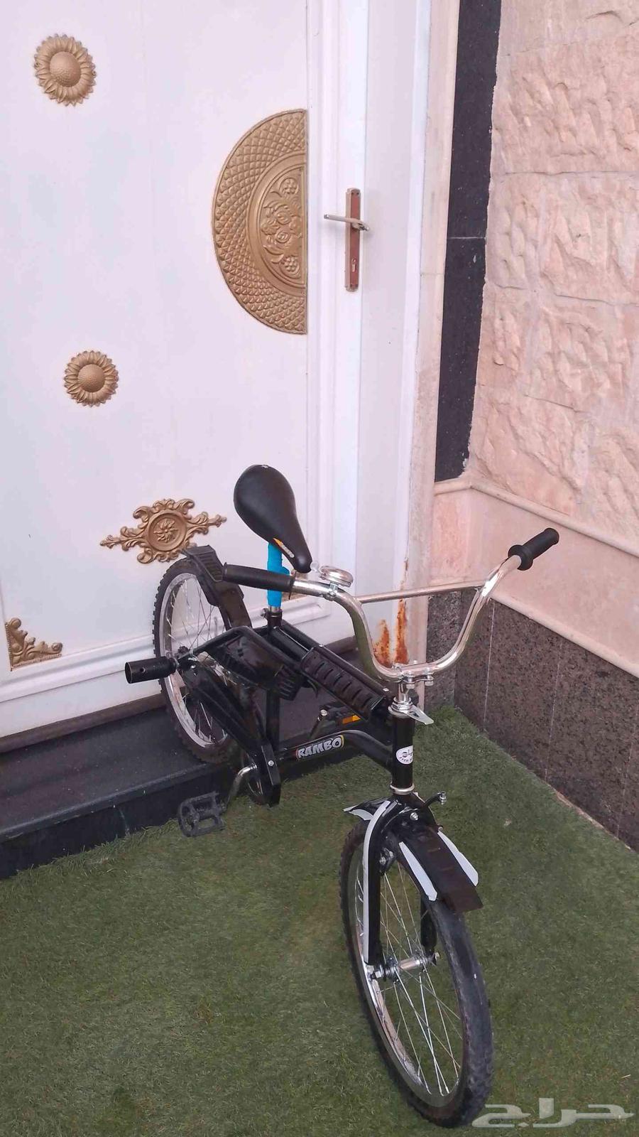 رامبو اسود للبيع64454536691074110