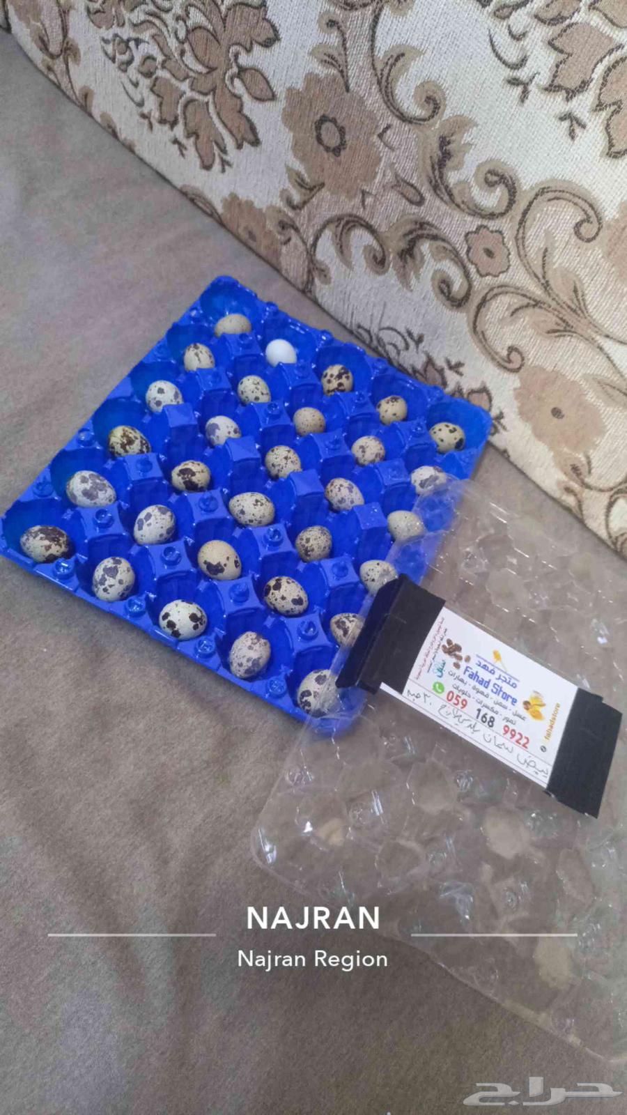 Fresh Quail Eggs64454400409987111