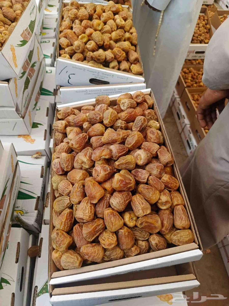 التمور سكري رطب مفتل الصقعبي عجواه صفاوي64456995838593110