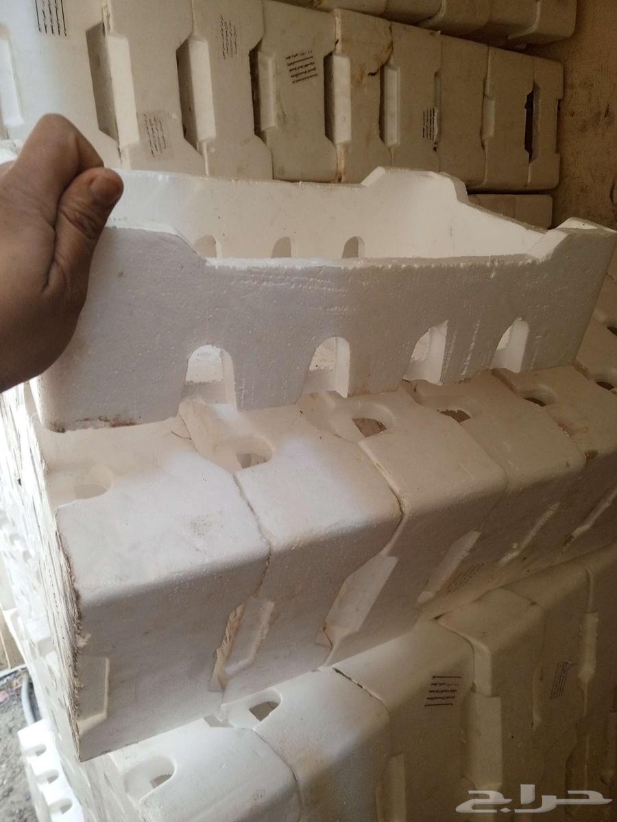 If vegetables are available64452482361859113