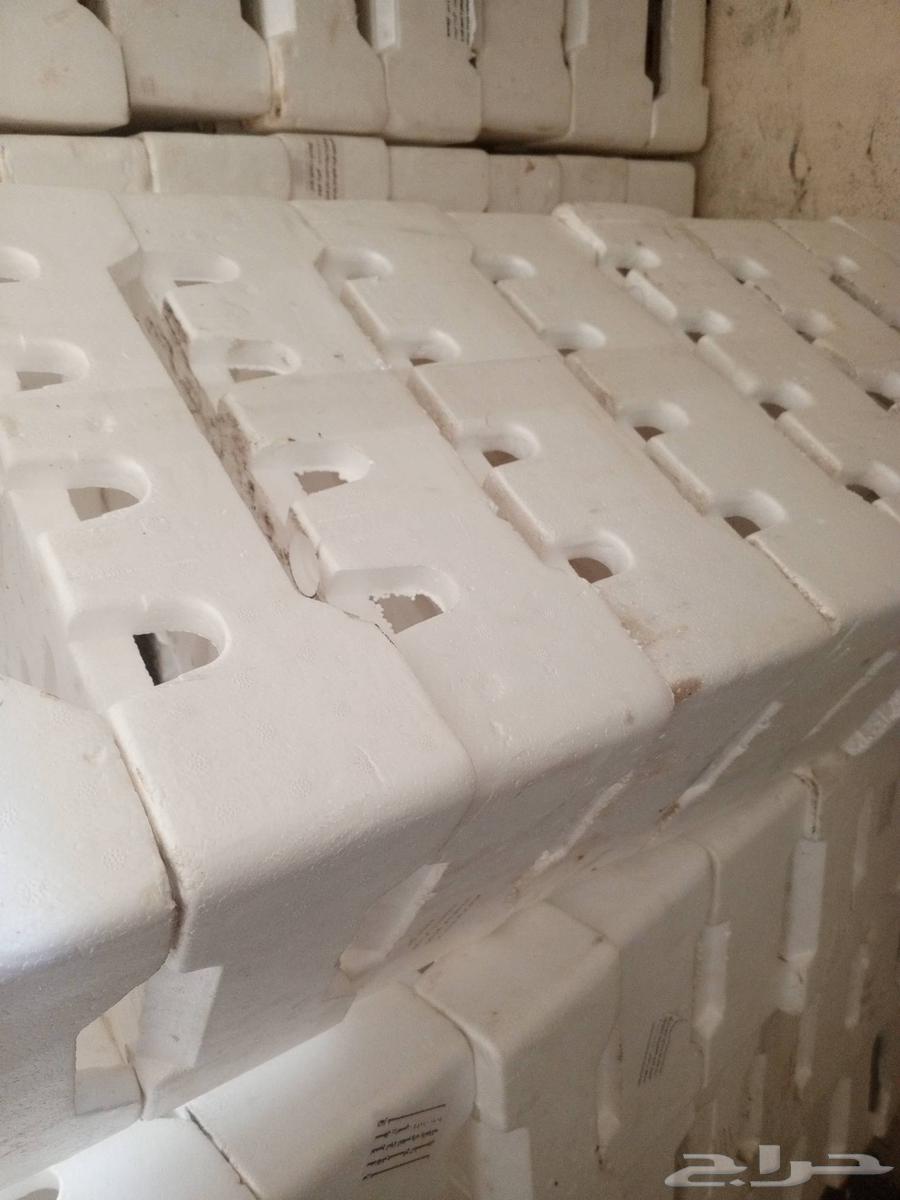 If vegetables are available64452482361859111