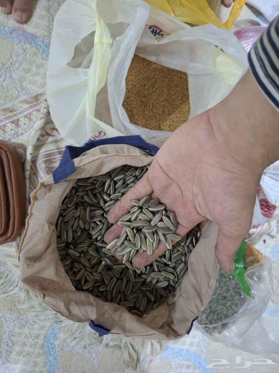 Available red pinks seeds, this year's new season64454729294082111