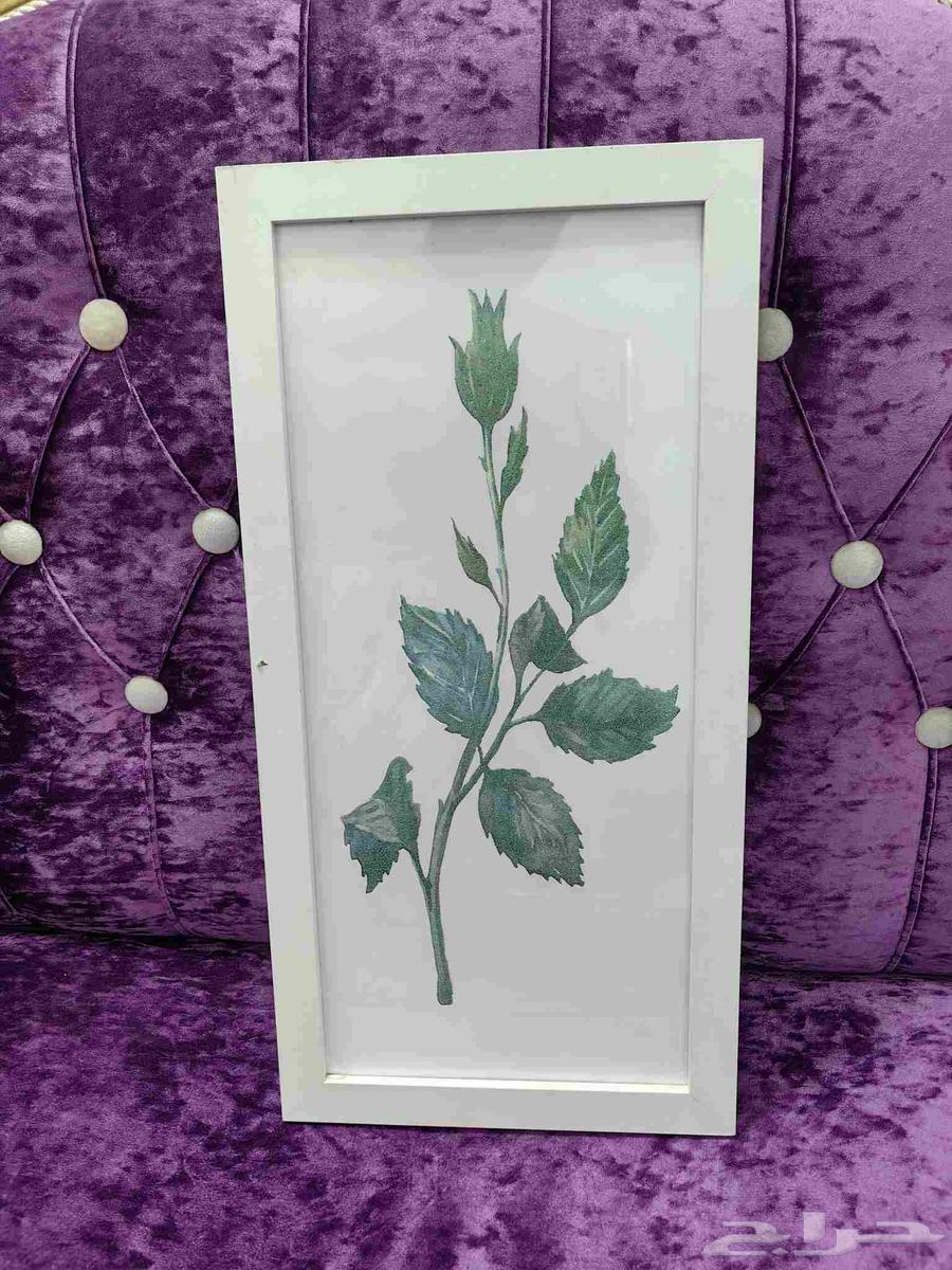 لوحات جدار للبيع64450577304193111