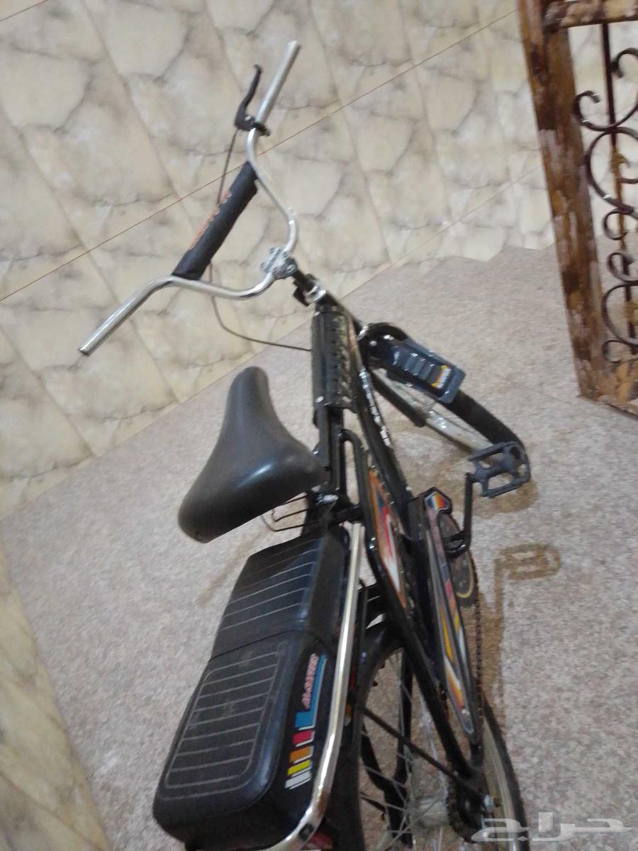 سيكل رامبو مقاس 20 نضيف جدا64455058891521111