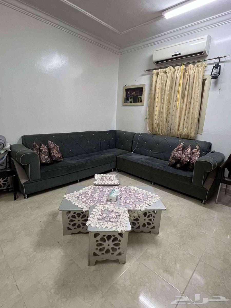 We have custom-made sofas64455700384642111