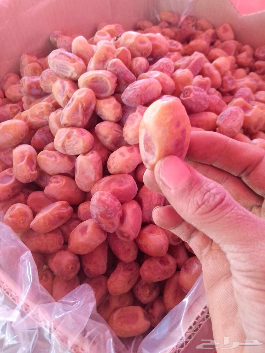 تمور اخلاص فاخره للبيع64455045252482110