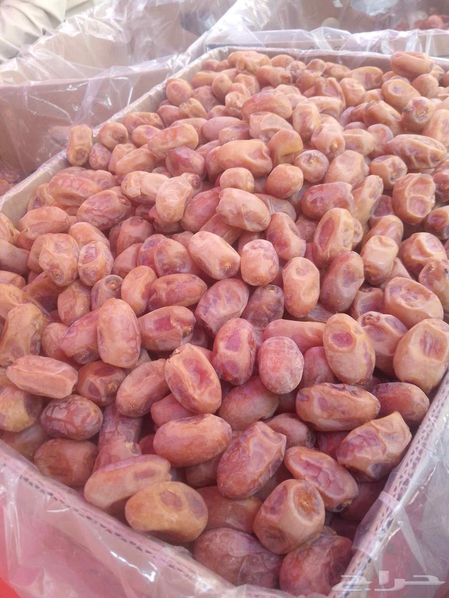 تمور اخلاص فاخره للبيع64455045252482111