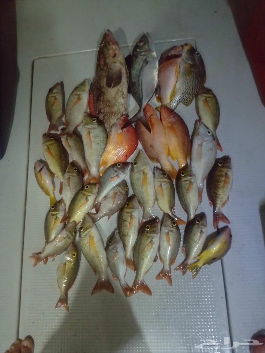 Private 8+ Hour Boat Trip for Adventure and Relaxation64452766408705111