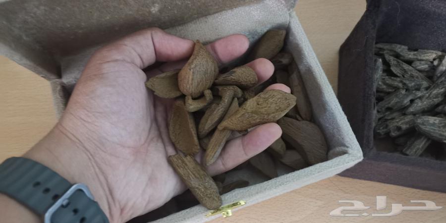 Luxurious Moroccan Oud suitable for occasions, mosques, and offices64438230416131110