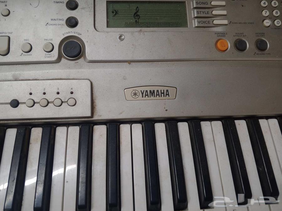 اورغ ياماها64455700426881113