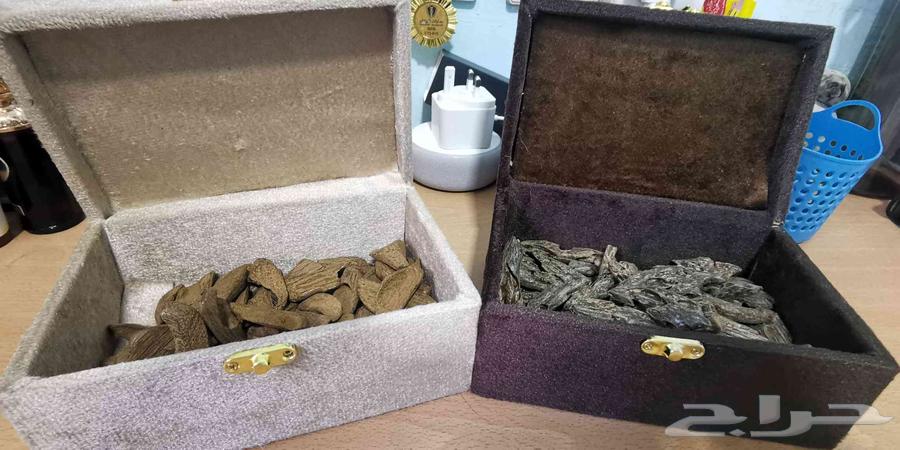 Luxurious Moroccan Oud suitable for occasions, mosques, and offices64438230416131111