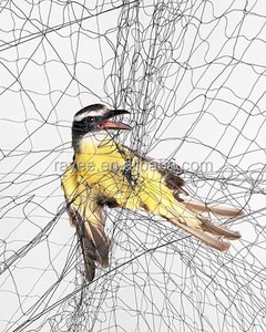 Fishing net64450388066433110