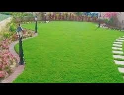 All types of tree planting, palm trees, grass, landscaping, tree and grass trimming64144650244226111