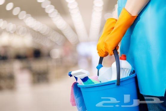 تنظيف وغسيل شقق وتنظيف خزانات وكنب بالمدينه64406987727490110