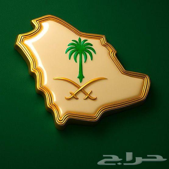 Need a chicken egg incubator Tamateek64449717187075110