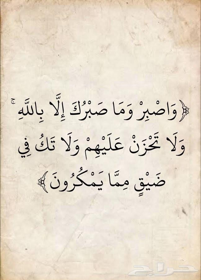 محفظة قرآن كريم ومعلمة تجويد متقنه بفضل الله64453394094979110