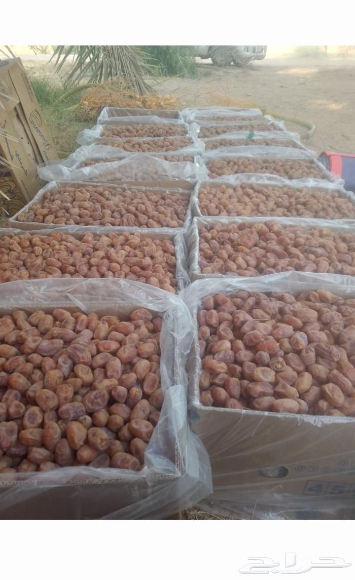 تمور اخلاص فاخره للبيع64455045252482113