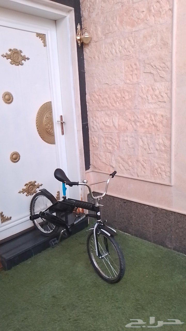 رامبو اسود للبيع64454536691074113