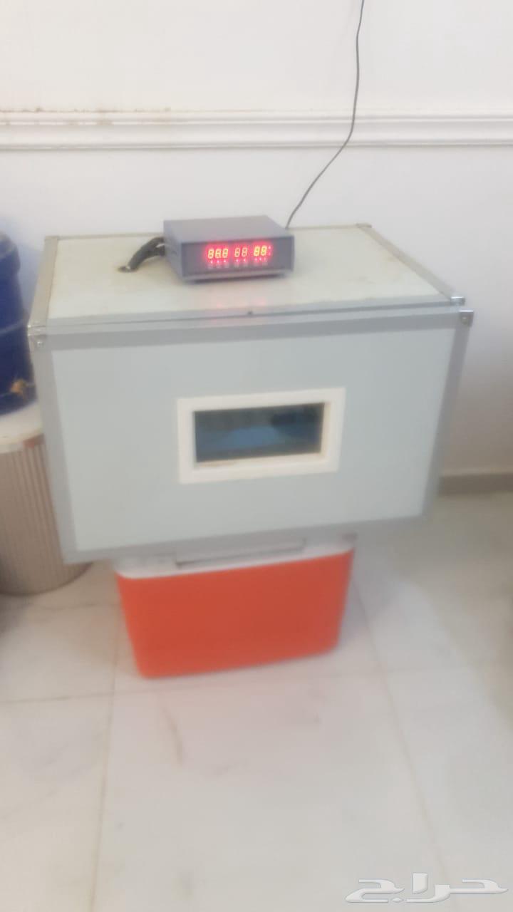 Incubator64453778791553111