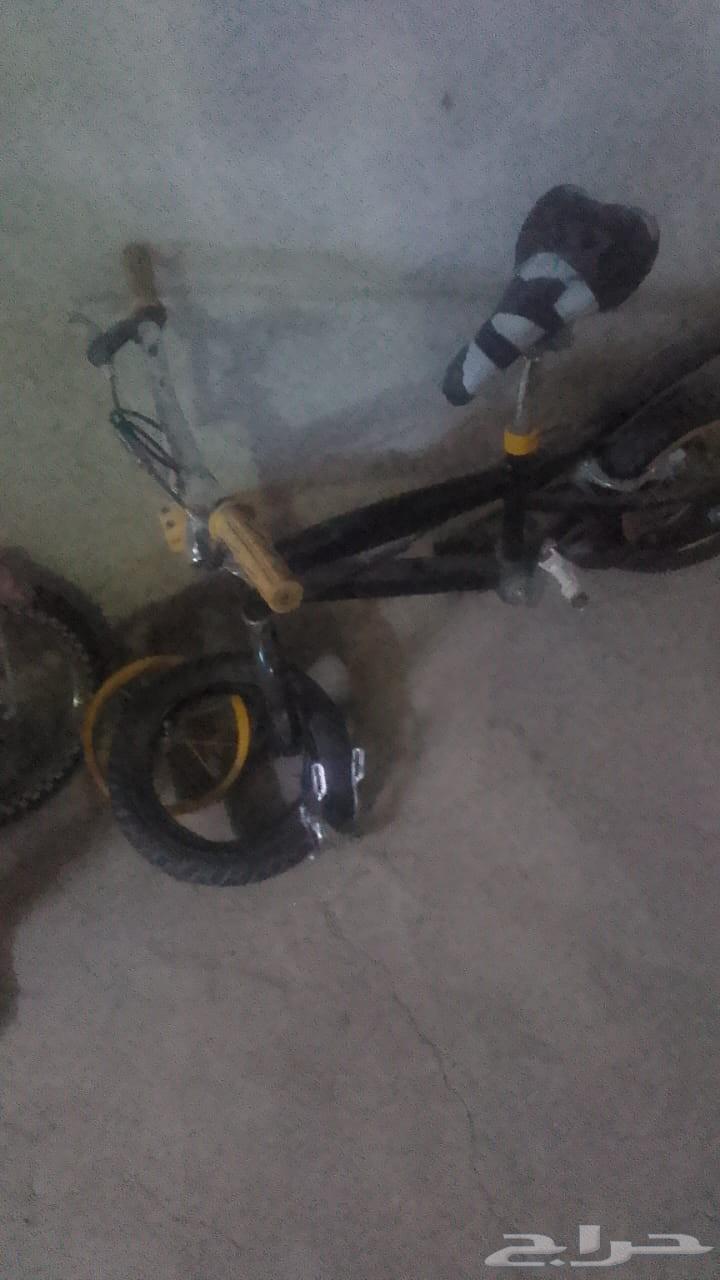 دراجتين صغيره للبيع64452929736833111