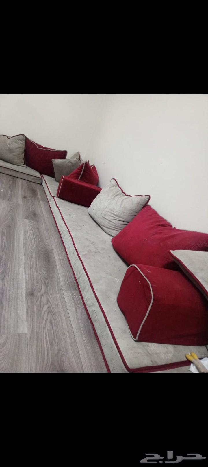 Ecla Sum64456143774081110