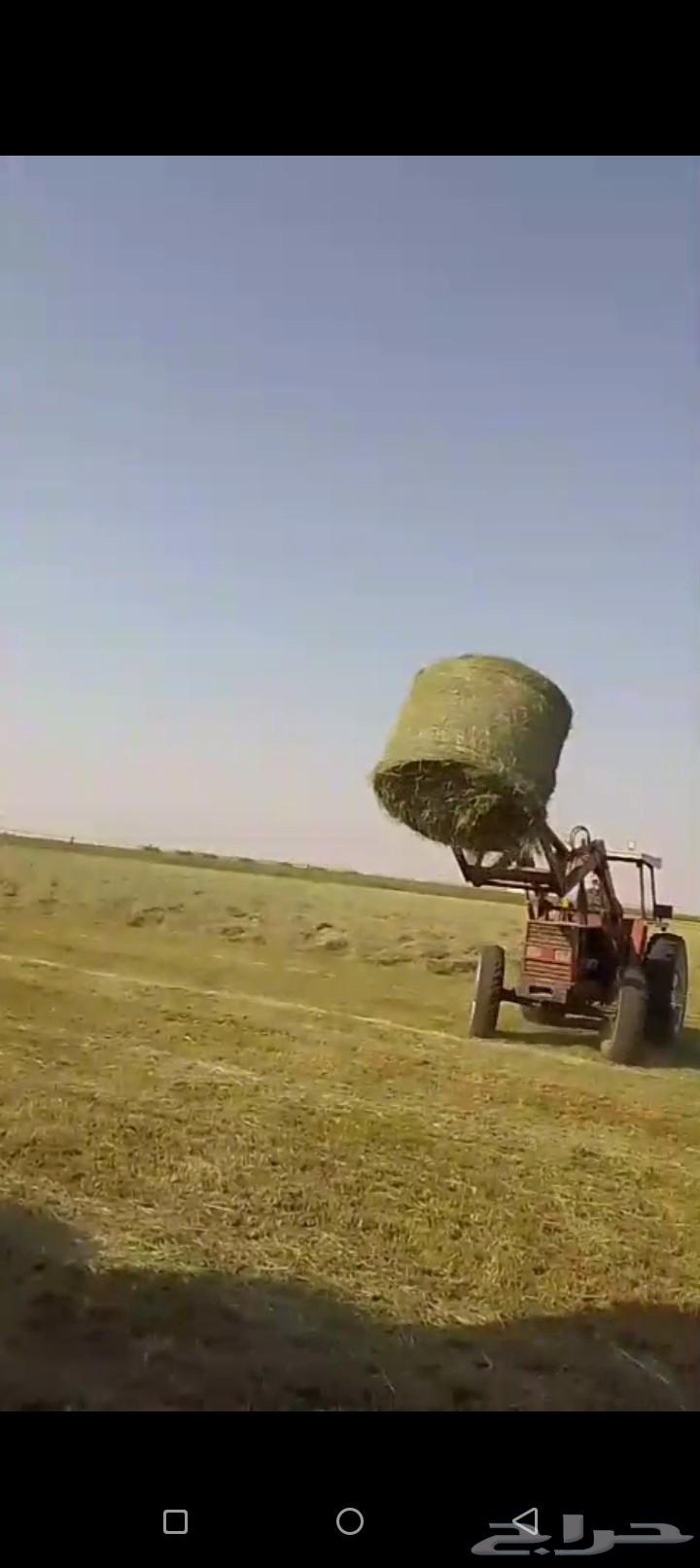 لفات رودس صوفي طيب64452495733763114