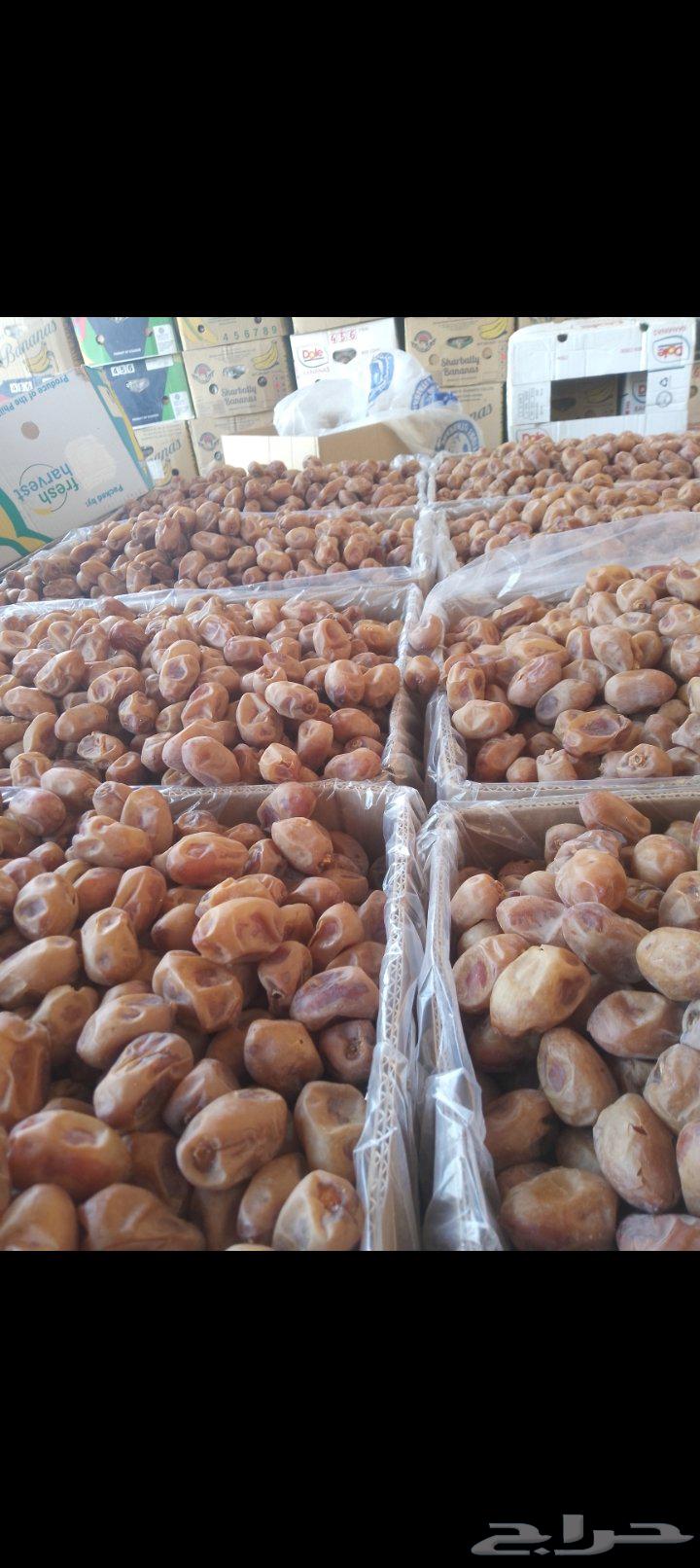 تمور اخلاص فاخره للبيع64455045252482114