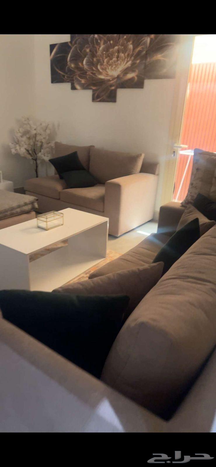 Sofa64455154222978113