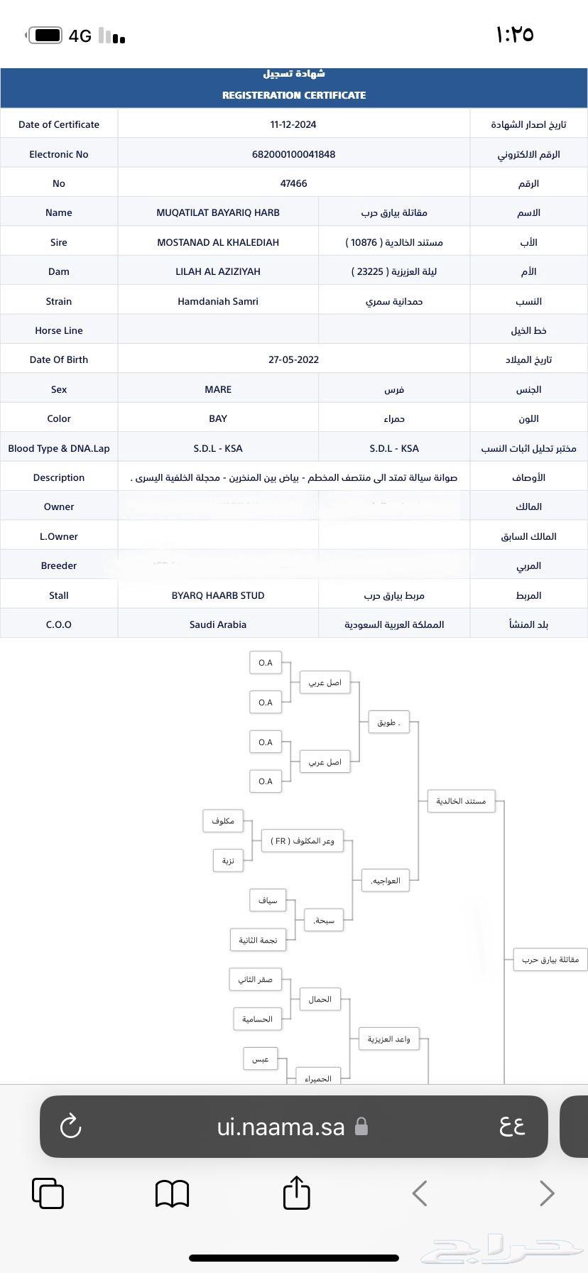 مهره واهو جزيريه64452984000513112