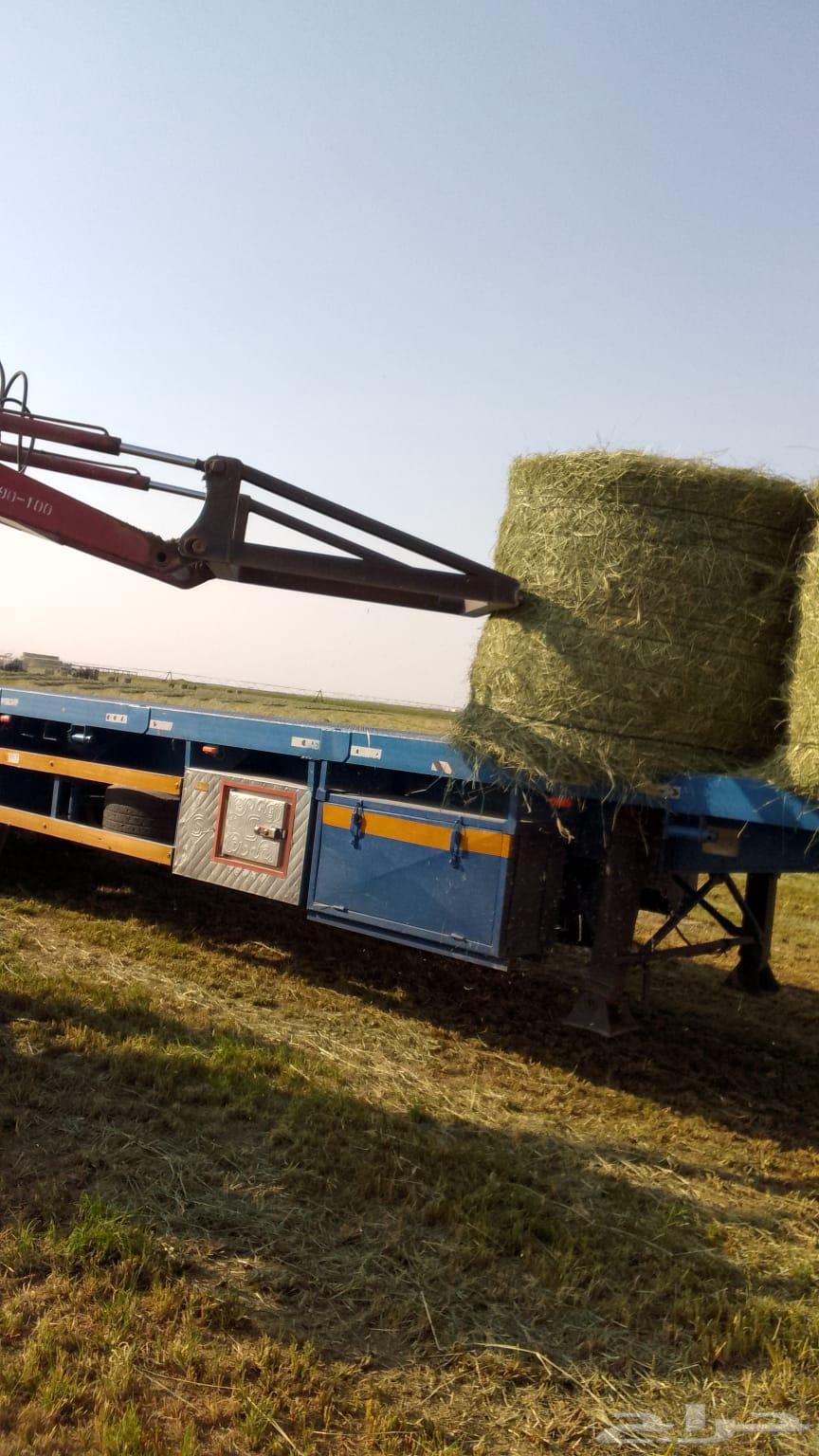 لفات رودس صوفي طيب64452495733763112