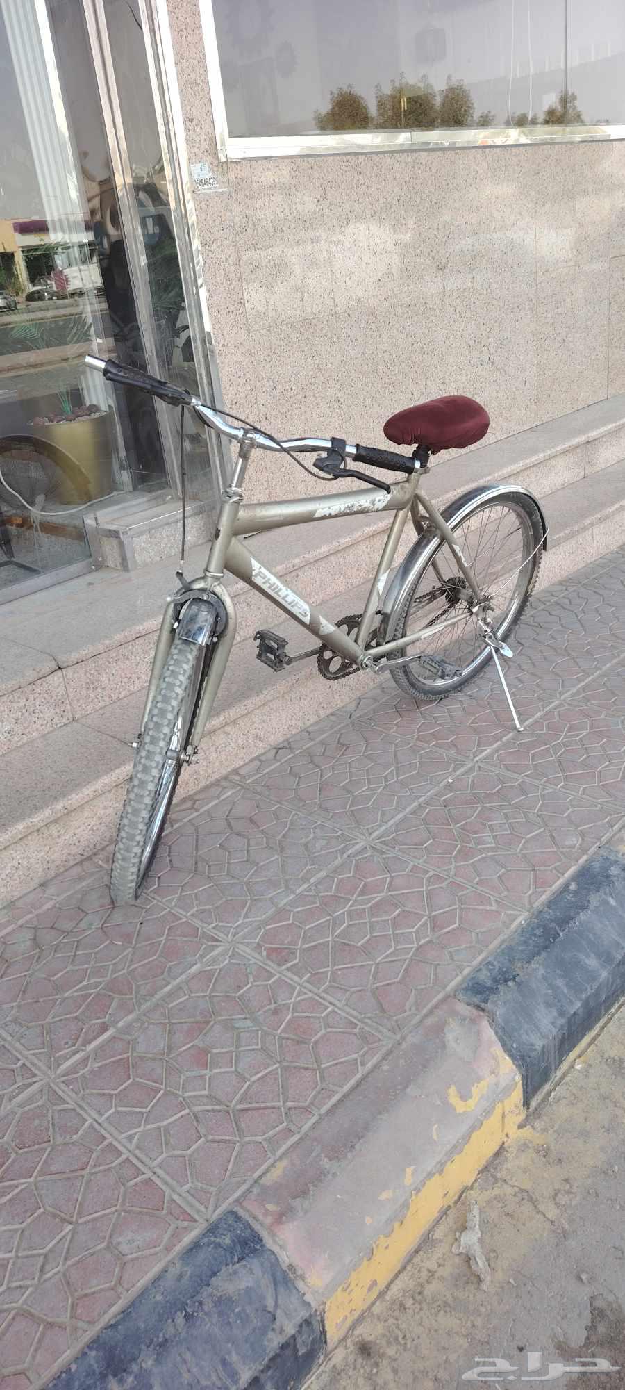 Big Cycle64452916056577110