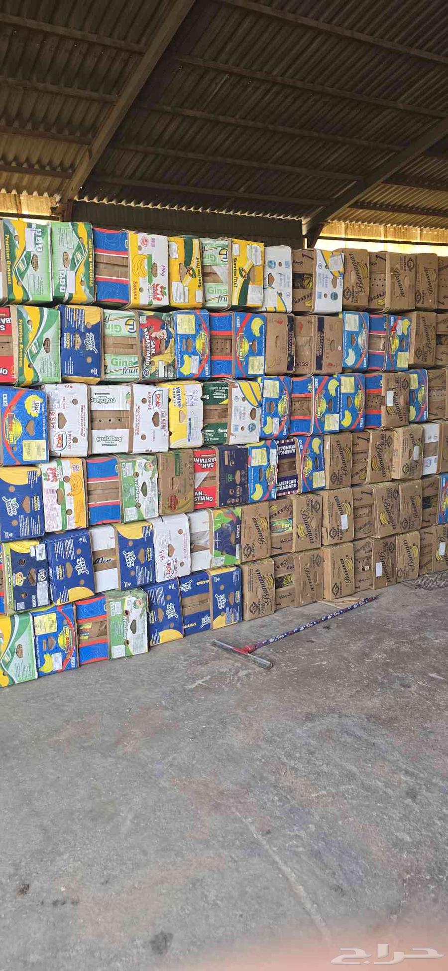 كراتين موز الاصلي جديد64457050351105110